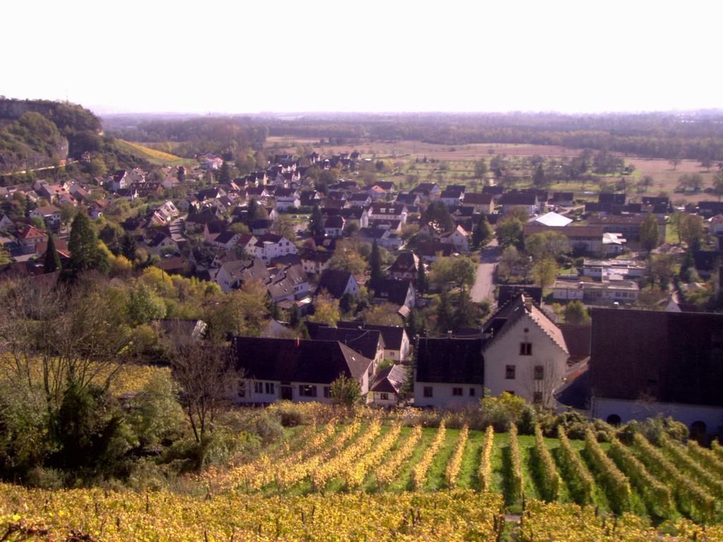Ferienwohnung Bigi Efringen-Kirchen Buitenkant foto